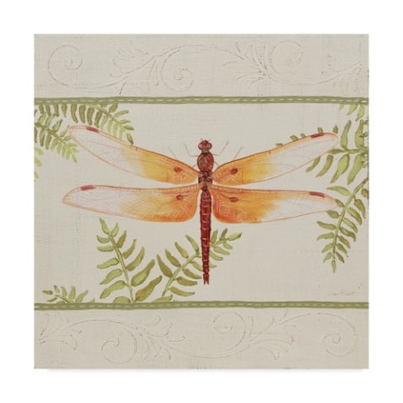 Jean Plout 'Dragonfly Wonder 1' Canvas Art,35x35